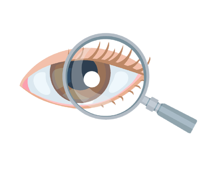 Seguridad visual<br />
