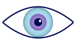 Evaluación visual